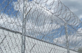 Siatka-ostrzowa-Ultra-Medium